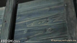 watching the fifth episode in the series