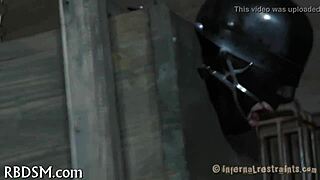 watching the fifth episode in the series