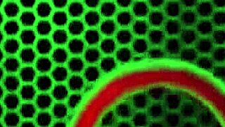 Nu pot să cred că Deborah Ann, târfă, a luat pula mare neagră a lui Rome Major atât de adânc în pizda ei udă