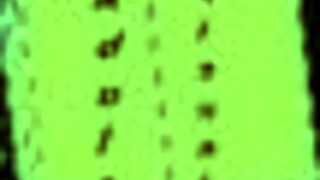 Summer adventures in the game series 54