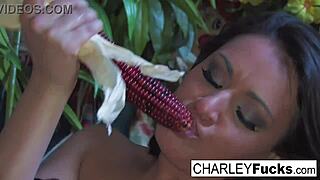 charley enjoys a relaxing solo session with her toys