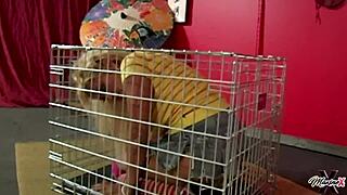 Scott Rhodes dominates Maxine X, making her suck huge tits and ass 😈