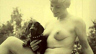 dark lantern entertainment unveils beauty and the beast vintage tale