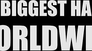 is this the first harem worldwide every man dreams of?