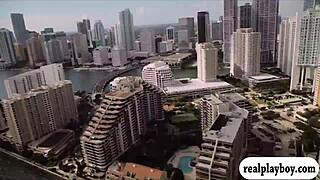 lovely badass babes visit cranky crocs in bikinis