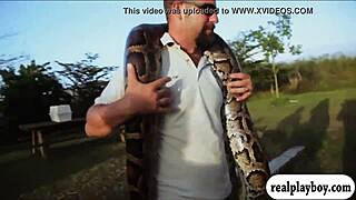 lovely badass babes visit cranky crocs in bikinis