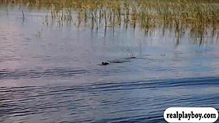 lovely badass babes visit cranky crocs in bikinis