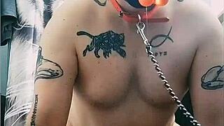 Gaywolf Is Mastino Grande