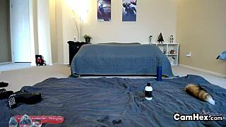 Sexy Amateur Shemale Hooker In Glasses: Solo Webcam Show Or Group Fun?