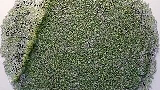 ninfeta coloca um consolo gigante no c� e pede o dotado para terminar o servi�o cena 100 anal