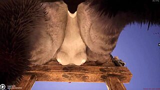 Wild furry hentai anal unfolds