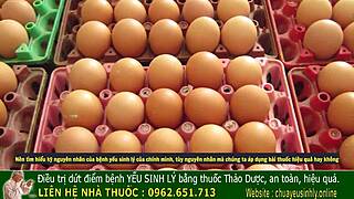 Narrative ancient vietnamese kings had secrets to boost male vitality for intense nights