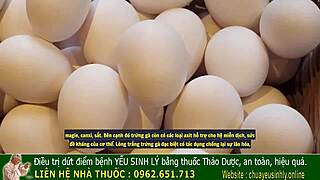 Narrative ancient vietnamese kings had secrets to boost male vitality for intense nights