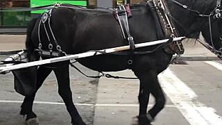 My nasty neighbor asked for help but got my big dick