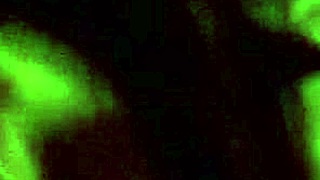 9 Minutes Without Cumming In This Blowjob!