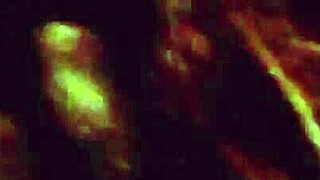 blonde whore gives blowjob to big cock in couple