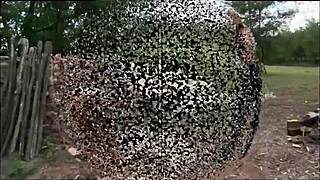 Lezdom femdom maledom and princess kirstin