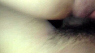 hairy pussy