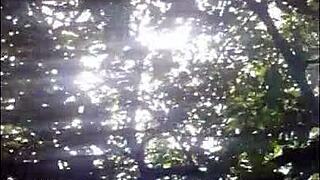 want my ass in the park? this latina dancer offers it