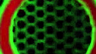 does busty blonde milf grind and lick nasty pussy?