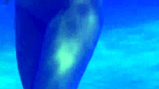 Liking The Feeling Of INDIAN Naked Beauty Dancing Again