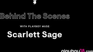 Petite blondie Scarlett Sage undresses in abandoned bar.