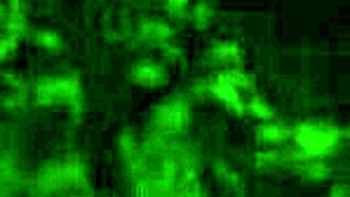 Sherytiffany Tiffany Shemale Ladyboy Anal Bareback Colombiana Cabalgando