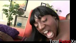 jasmine webb, jazzy jamison, lily cade, pinky xxx, kitten kali, and dreams flame in oiled scene