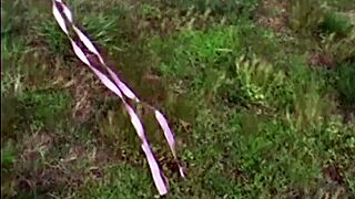 come help me find easter eggs, cute teen