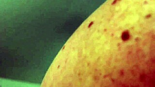 Jenna Jaymes' Freaky Anal Session