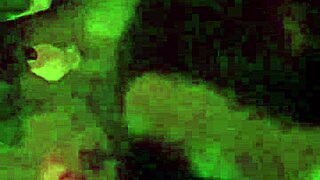 Beautiful Bondaged Tattooed Girlfriend Sandraxo1 Performs Blowjob On Friend In Homemade BDSM Scene