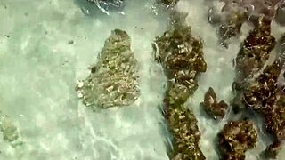 old victor bloom fucks young brunette mulata's big tits and ass at home