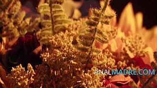 ignore that amazing asian ass in the contest