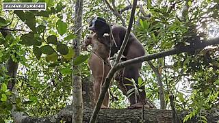 i give in to public anal just for his help