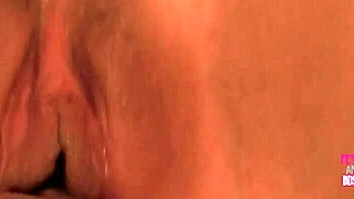 Uskomaton ruskeaverikkö houkuttelee ratsastuksella koko yön