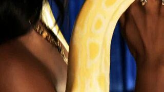 bolly babe dancing and undressing in a pretty striptease with clothes ripped