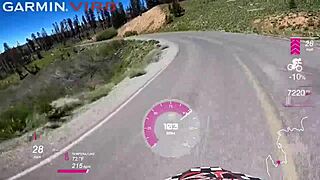 Will You Suck My Balls from Mt Lassen to Tahoe?