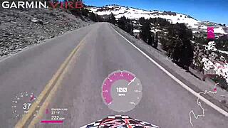 Will You Suck My Balls from Mt Lassen to Tahoe?