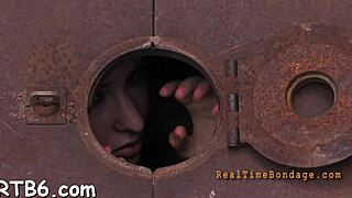 Европейская пара занимается грубым жестким трахом с минетом и оральным сексом