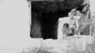 Amanda Souza Enjoys Intense Anal Sex And Reaches A Powerful Orgasm