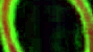 Gabby Quinteros, a MILF from Mexico, wants more BBC