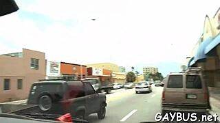 two gay lads sucking cocks