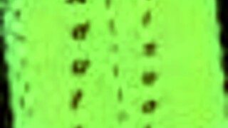 Summertime Saga epizoda 138 s erotickými kreslenými anime dobrodružstvími