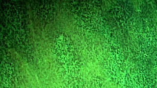 Behind the scenes of a gay pickup encounter with v dun gay