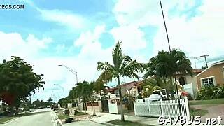 two gay lads sucking cocks