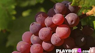 I Enjoy Beautiful Small Tits Asian Milf Katana