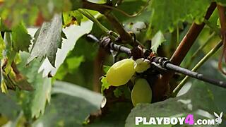 I Enjoy Beautiful Small Tits Asian Milf Katana