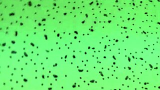 Tiffany in a hot audition where she shows her mettle