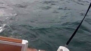 i saw that hot transa on the lancha and messed up