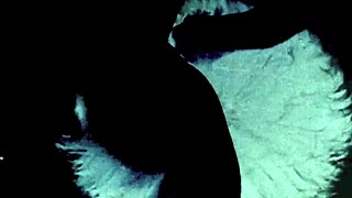 vintage threesomes explore hairy pussies in retro porn